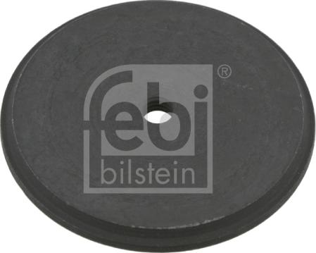 Febi Bilstein 19029 - Disco di fermo, Fuso a snodo autozon.pro