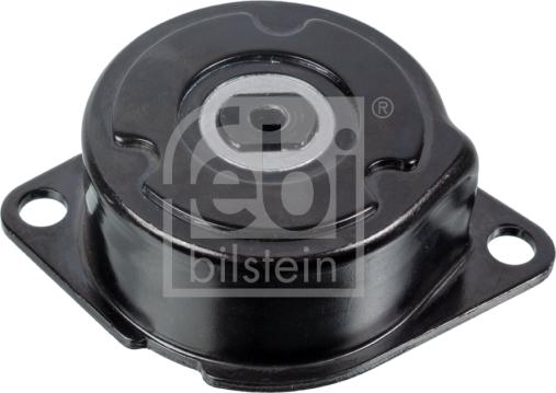 Febi Bilstein 14736 - Tendicinghia, Cinghia Poly-V autozon.pro