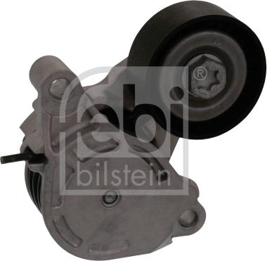 Febi Bilstein 100169 - Tendicinghia, Cinghia Poly-V autozon.pro