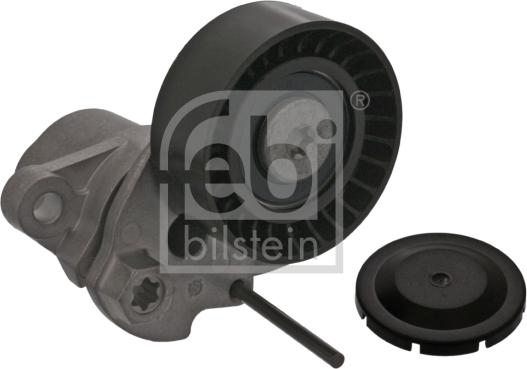 Febi Bilstein 100740 - Tendicinghia, Cinghia Poly-V autozon.pro