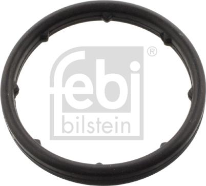 Febi Bilstein 101404 - Guarnizione, Radiatore olio autozon.pro