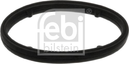 Febi Bilstein 101399 - Guarnizione, Radiatore olio autozon.pro