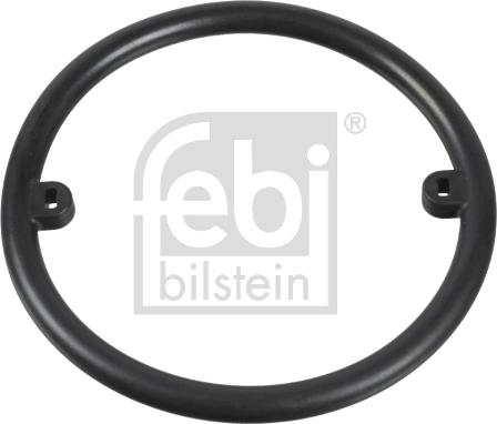 Febi Bilstein 18776 - Guarnizione, Radiatore olio autozon.pro