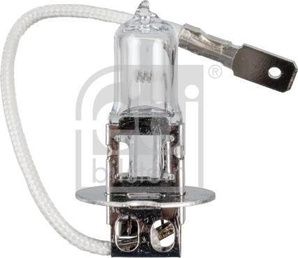 Febi Bilstein 173276 - Lampadina, Fendinebbia autozon.pro