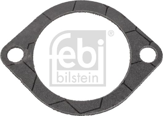 Febi Bilstein 172462 - Guarnizione, Termostato autozon.pro