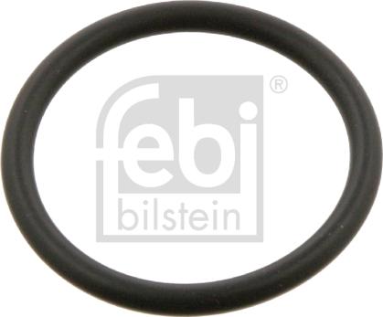 Febi Bilstein 35618 - Guarnizione, Carter filtro olio autozon.pro