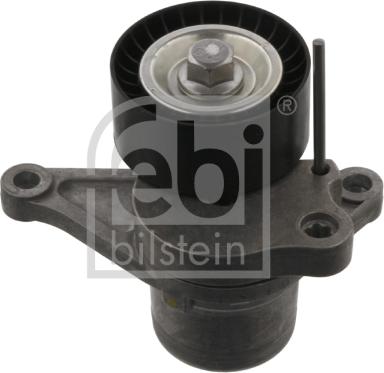 Febi Bilstein 36831 - Tendicinghia, Cinghia Poly-V autozon.pro