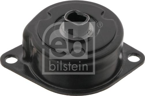 Febi Bilstein 30989 - Tendicinghia, Cinghia Poly-V autozon.pro