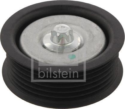 Febi Bilstein 31142 - Galoppino / Guidacinghia, Cinghia Poly-V autozon.pro