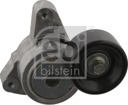 Febi Bilstein 31255 - Tendicinghia, Cinghia Poly-V autozon.pro