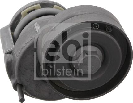 Febi Bilstein 32629 - Tendicinghia, Cinghia Poly-V autozon.pro