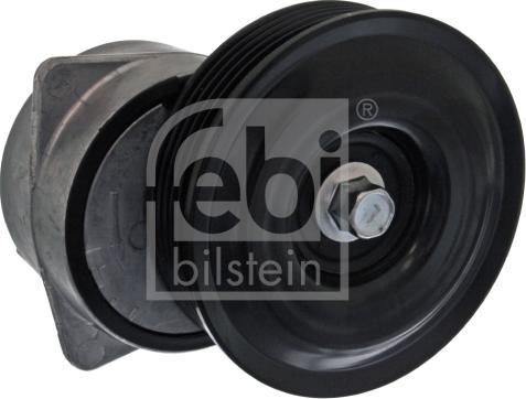 Febi Bilstein 21797 - Tendicinghia, Cinghia Poly-V autozon.pro