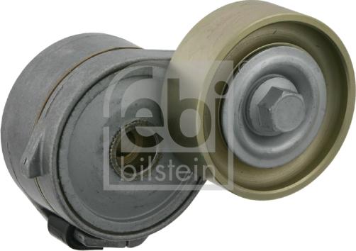 Febi Bilstein 22973 - Tendicinghia, Cinghia Poly-V autozon.pro