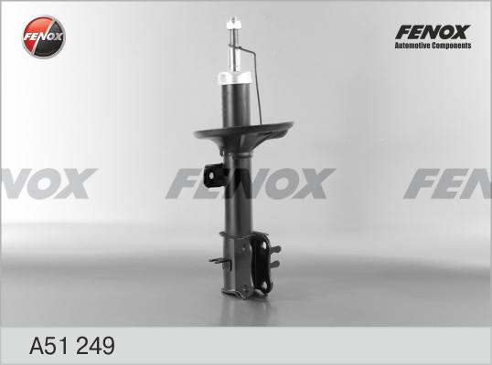 Fenox A51249 - Ammortizzatore autozon.pro