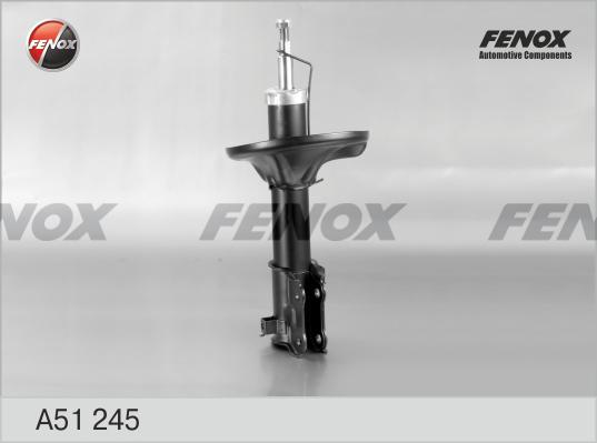 Fenox A51245 - Ammortizzatore autozon.pro