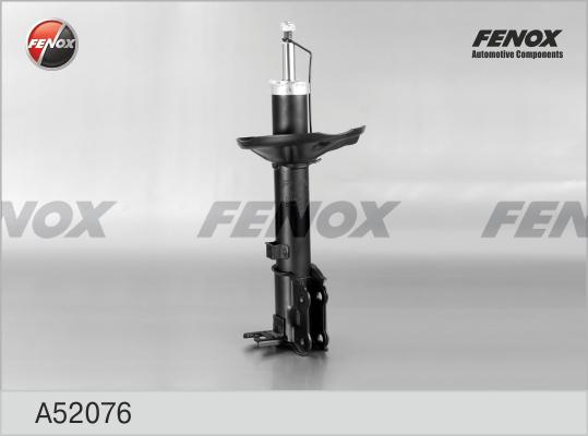 Fenox A52076 - Ammortizzatore autozon.pro