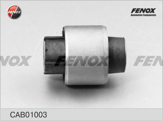 Fenox CAB01003 - Supporto, Braccio oscillante autozon.pro