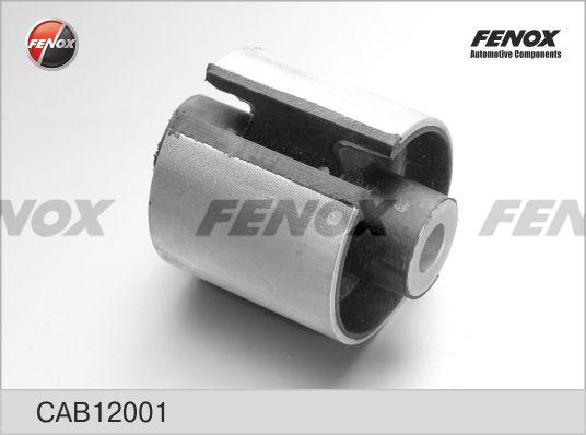 Fenox CAB12001 - Supporto, Braccio oscillante autozon.pro