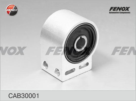 Fenox CAB30001 - Supporto, Braccio oscillante autozon.pro