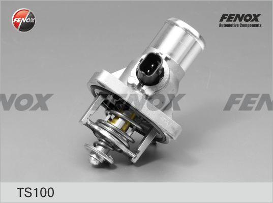 Fenox TS100 - Termostato, Refrigerante autozon.pro