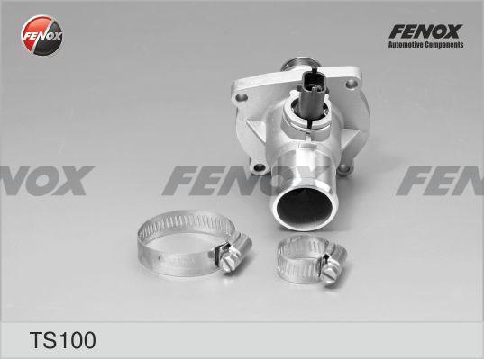 Fenox TS100 - Termostato, Refrigerante autozon.pro