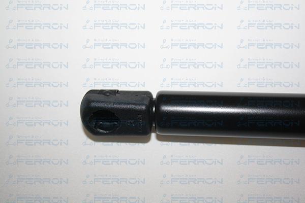 FERRON 193 - Ammortizatore pneumatico, Cofano bagagli / vano carico autozon.pro