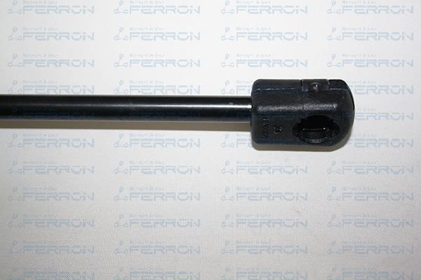 FERRON 193 - Ammortizatore pneumatico, Cofano bagagli / vano carico autozon.pro