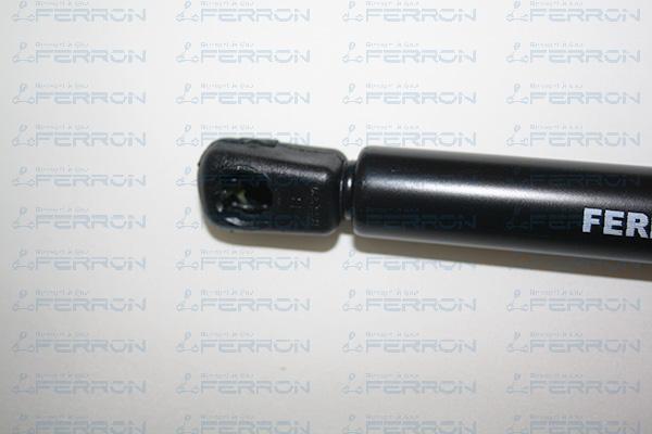 FERRON 1109 - Ammortizatore pneumatico, Cofano bagagli / vano carico autozon.pro