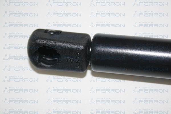 FERRON 1389 - Ammortizatore pneumatico, Cofano bagagli / vano carico autozon.pro