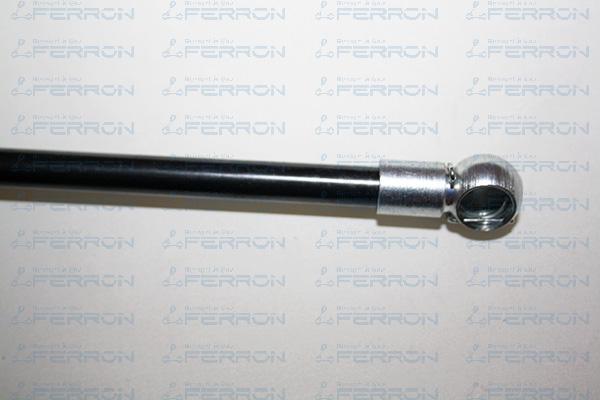 FERRON 344 - Ammortizatore pneumatico, Cofano bagagli / vano carico autozon.pro