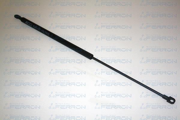 FERRON 254 - Ammortizzatore pneumatico, Cofano motore autozon.pro