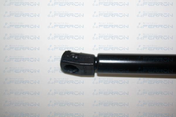 FERRON 257 - Ammortizatore pneumatico, Cofano bagagli / vano carico autozon.pro