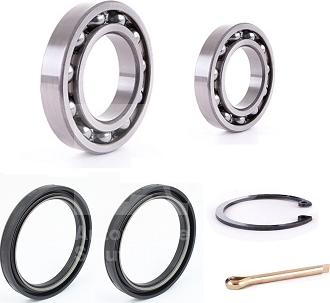 Fersa Bearings WK00350 - Kit cuscinetto ruota autozon.pro