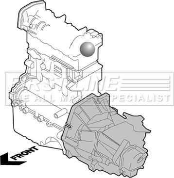 First Line FEM4349 - Sospensione, Motore autozon.pro