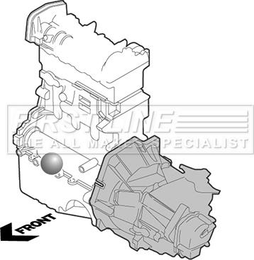 First Line FEM3113 - Sospensione, Motore autozon.pro