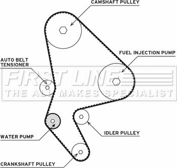 First Line FTW1019 - Pompa acqua + Kit cinghie dentate autozon.pro