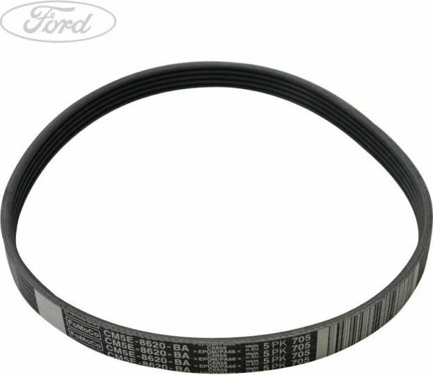 FORD 5113695 - Cinghia Poly-V autozon.pro