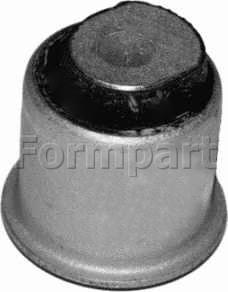 Formpart 1100020 - Supporto, Braccio oscillante autozon.pro