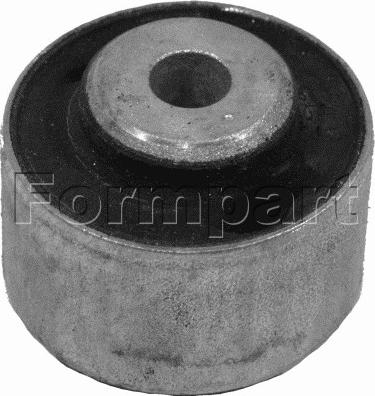 Formpart 1100028 - Supporto, Braccio oscillante autozon.pro