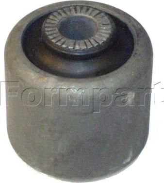 Formpart 1200087 - Supporto, Braccio oscillante autozon.pro