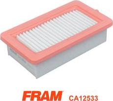 FRAM CA12533 - Filtro aria autozon.pro