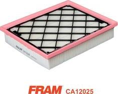 FRAM CA12025 - Filtro aria autozon.pro