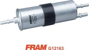 FRAM G12163 - Filtro carburante autozon.pro