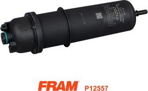 FRAM P12557 - Filtro carburante autozon.pro