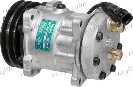 Frigair 920.20226 - Compressore, Climatizzatore autozon.pro