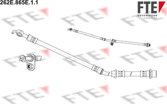 FTE 262E.865E.1.1 - Flessibile del freno autozon.pro