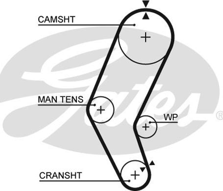 Gates 5401 - Cinghia dentata autozon.pro