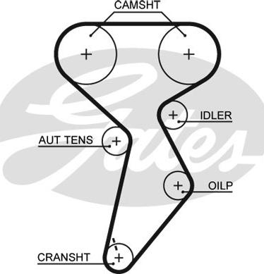 Gates K015432XS - Kit cinghie dentate autozon.pro