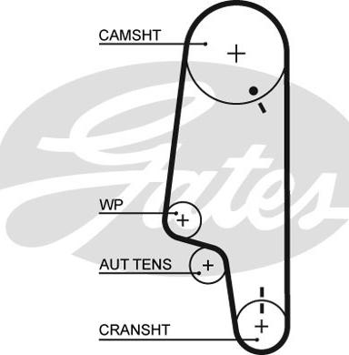 Gates K015428XS - Kit cinghie dentate autozon.pro