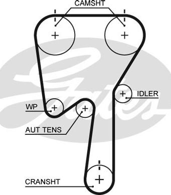 Gates 5509XS - Cinghia dentata autozon.pro